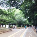 自然がいっぱいの駒沢公園