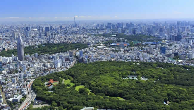 東京ドーム13個分の広大な大きさを誇る「新宿御苑」