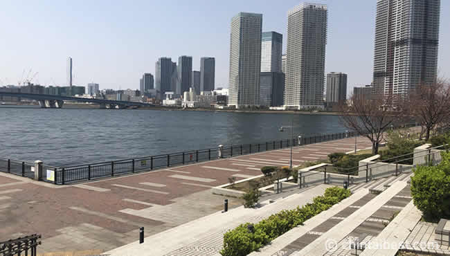 東京湾沿いに位置する豊洲は、都内ながらもどこかリゾート地のような雰囲気を味わえるエリア。海沿いならではの楽しみ方ができるのも魅力です。