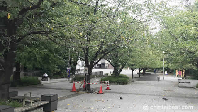 中央区立桜川公園。春には桜を見に多くの人が訪れます。