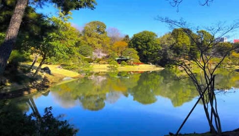 都内を代表する日本庭園として人気のある六義園