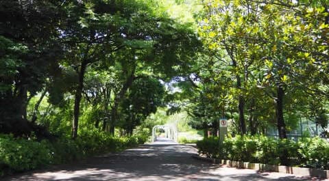 総合レクリエーション公園